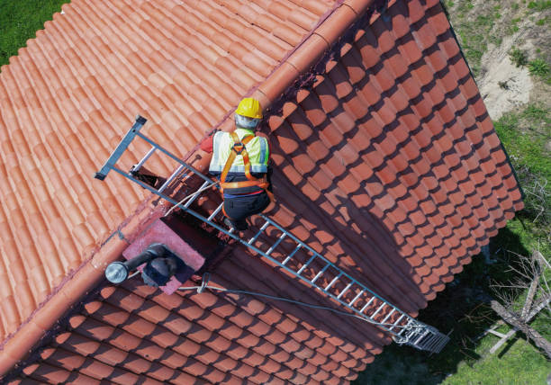 Best Roof Moss and Algae Removal  in Kraemer, LA