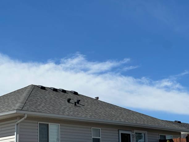 Steel Roofing in Kraemer, LA